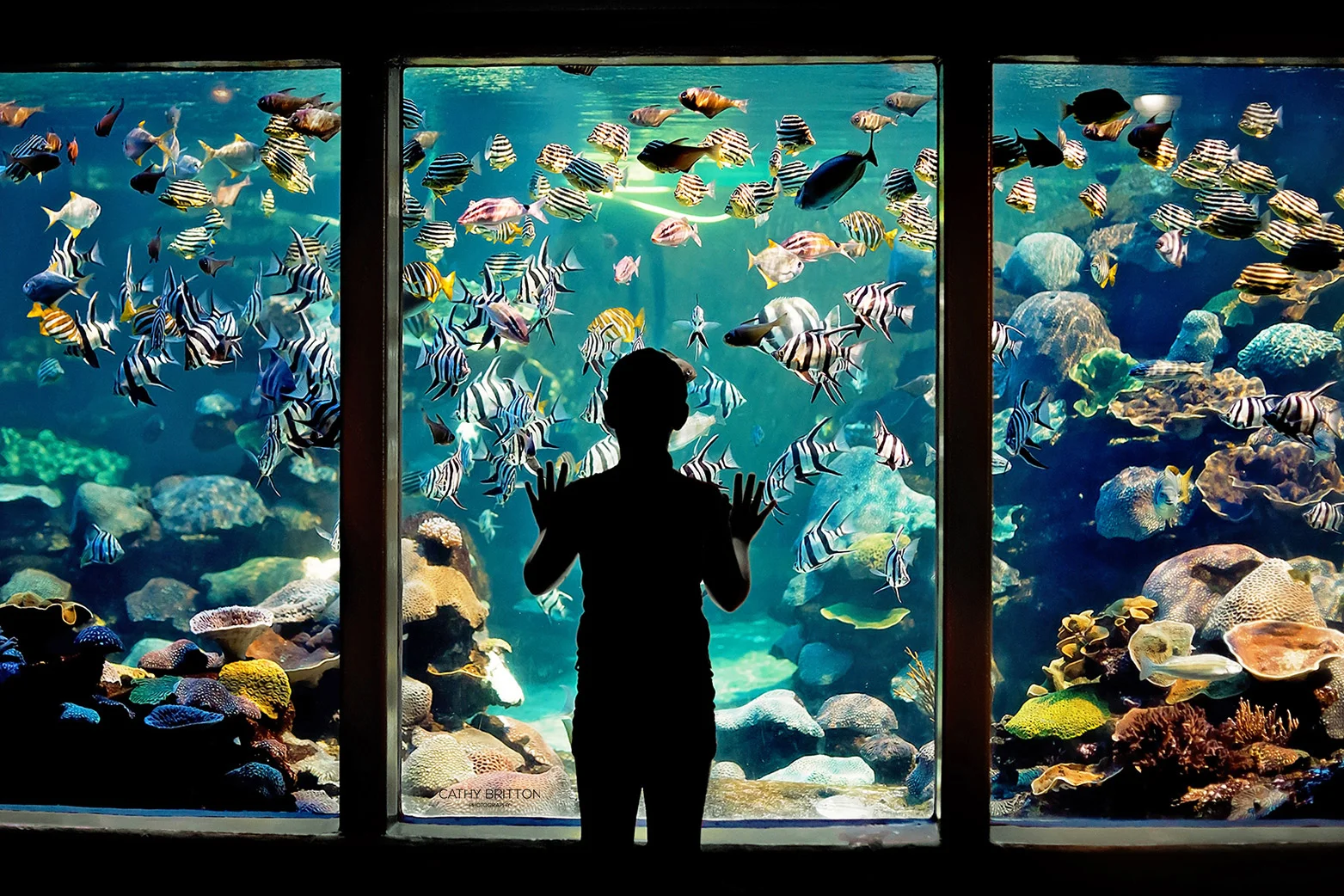Perth-Child-FineArt-Photographer