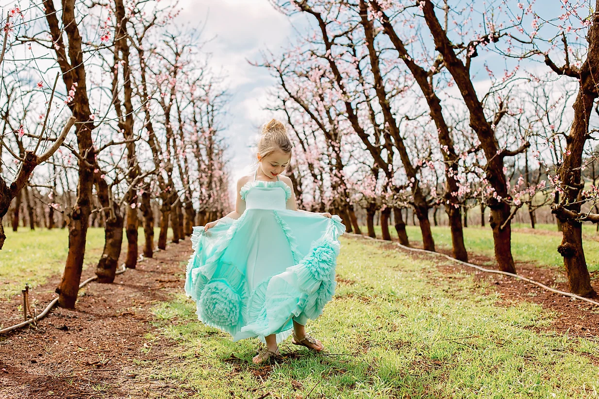 perth-hills-orchard-spring.jpg