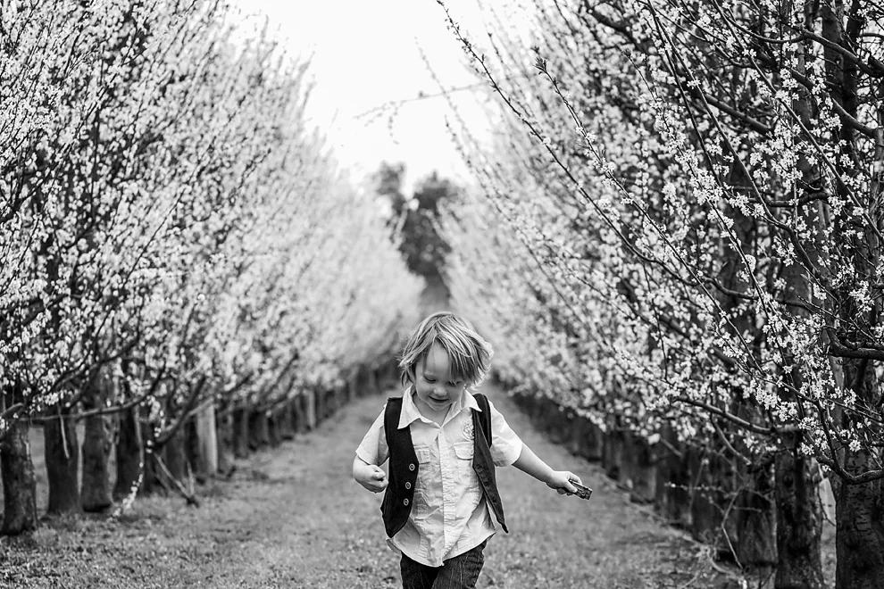 raeburn-orchard-perth.jpg