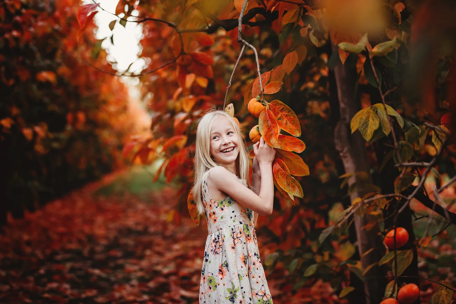 Perth Photographer - Autumn at Raeburn Orchards