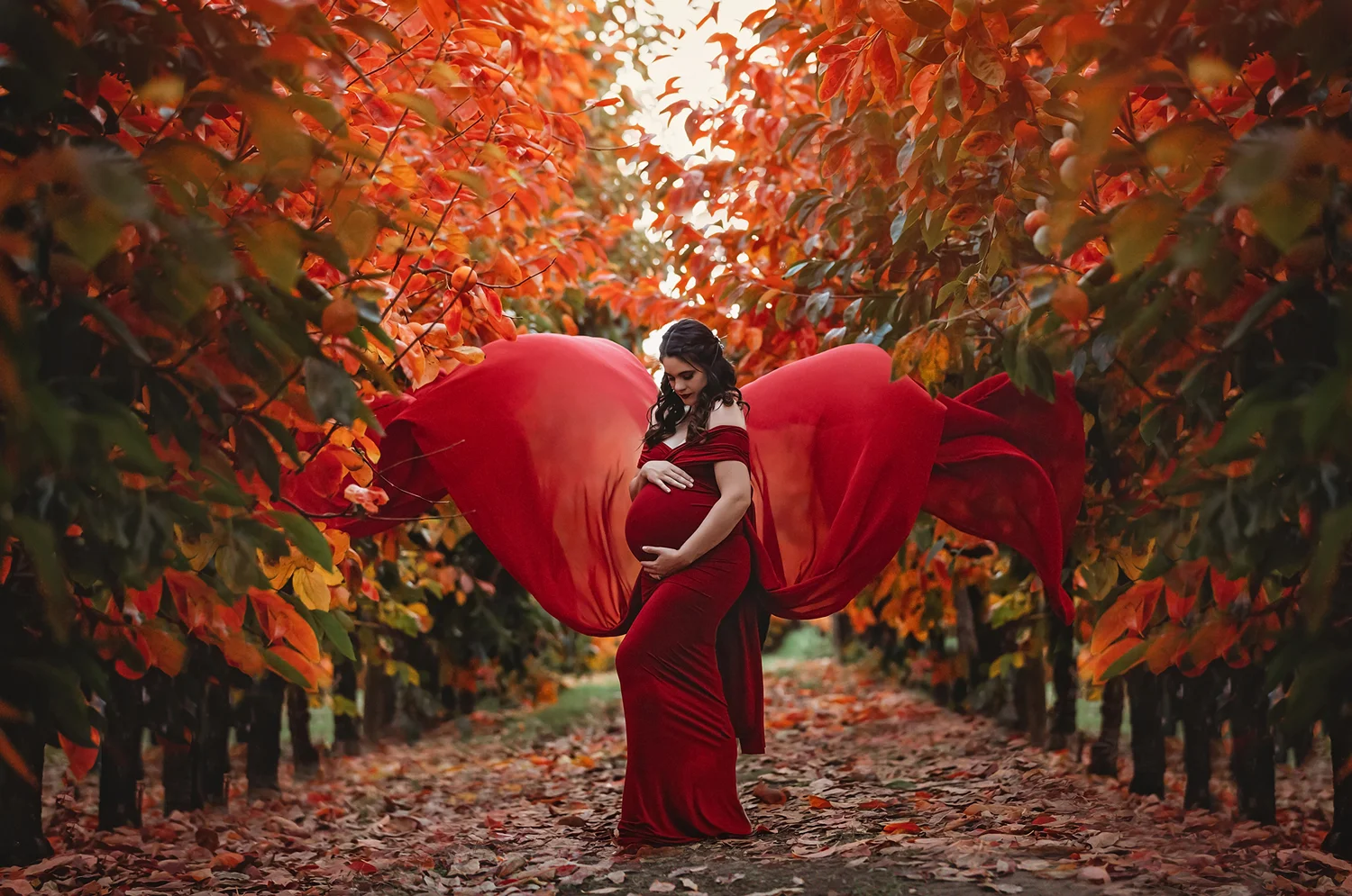 Maternity-by-Cathy-Britton-Photography.jpg
