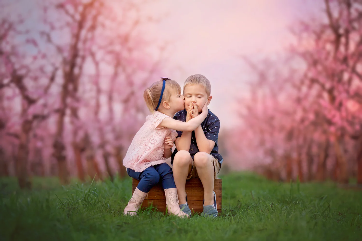 Cherry-Blossom-Kisses-at-Raeburn-Orchards-Perth-Photographer.jpg