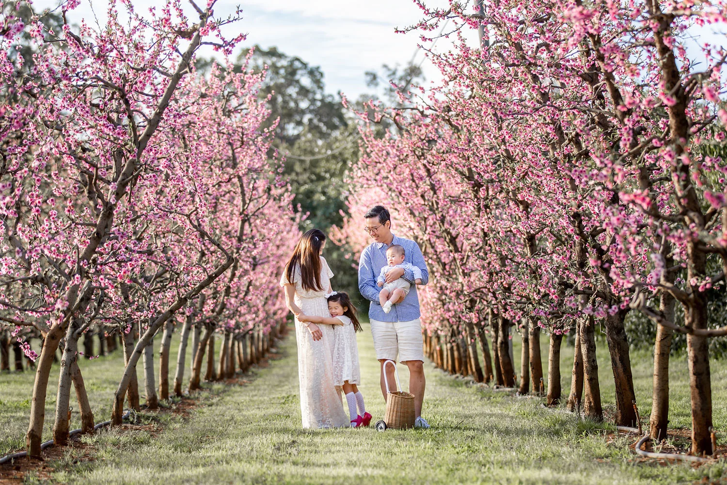 Family-Photographer-Blossoms.jpg