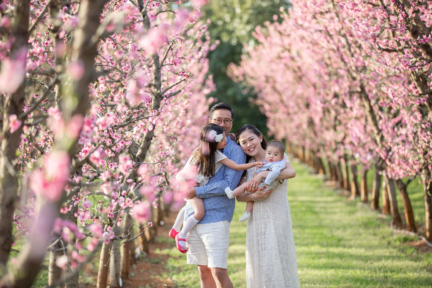 Spring-Blossoms-in-Perth.jpg