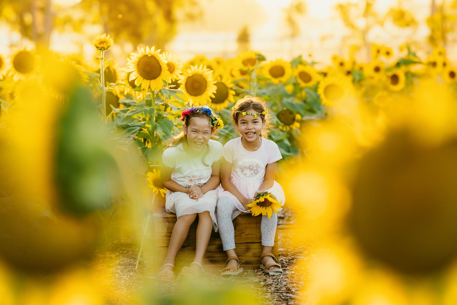 Sunflower-Family-Photography-in-Perth.jpg