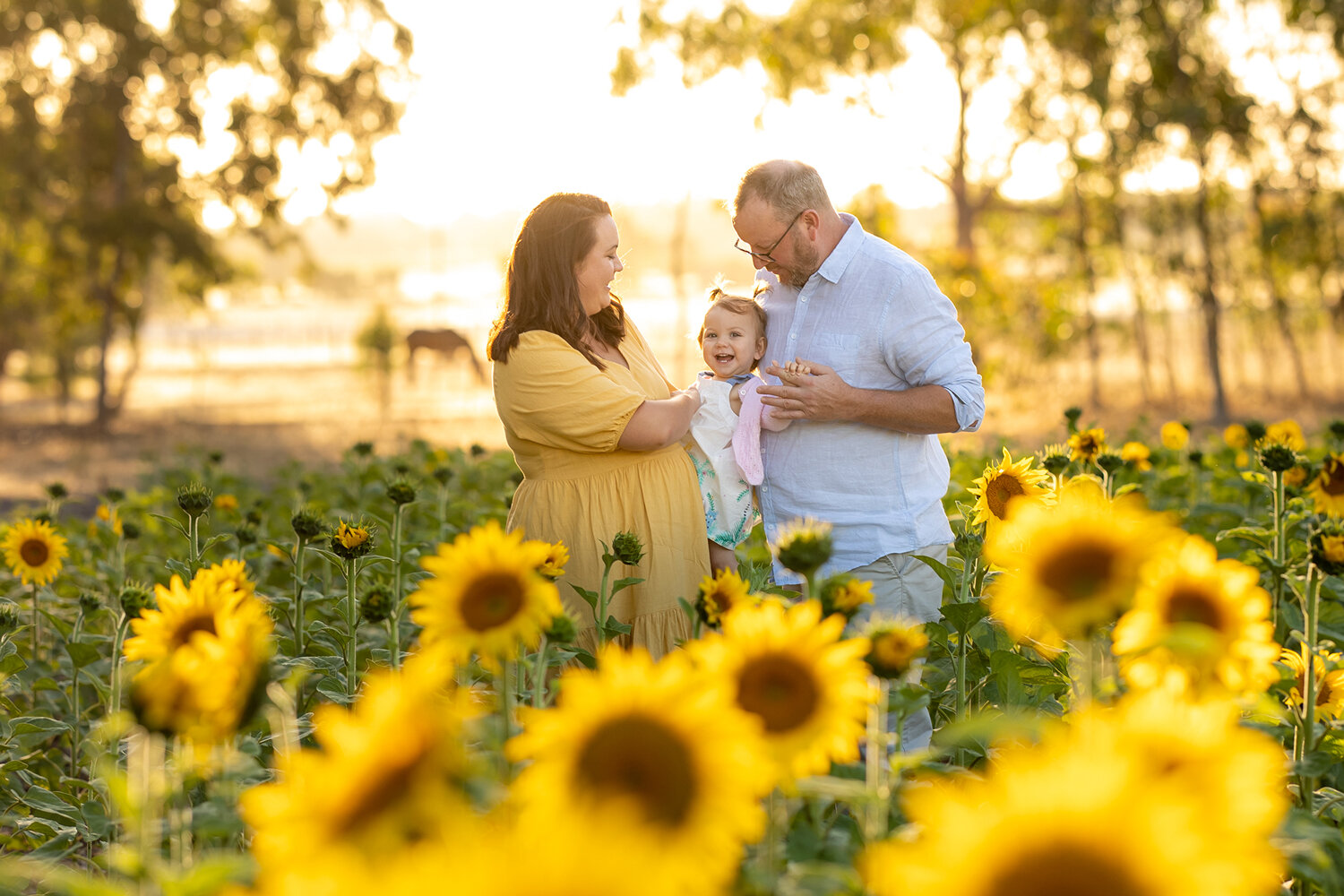 Sunflower-Photography.jpg