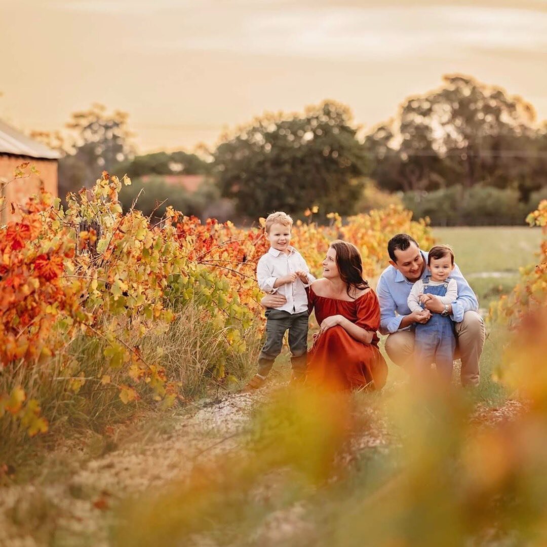 When the vineyards feel like autumn and the air is cool &amp; filled with little boys laughter. Some of my favourite things 🍂

.
.
.
.

#perthfamilyphotographer #swanvalley #perthfamilyphotography #perthfamilyportraits #perthphotographer #perthphoto