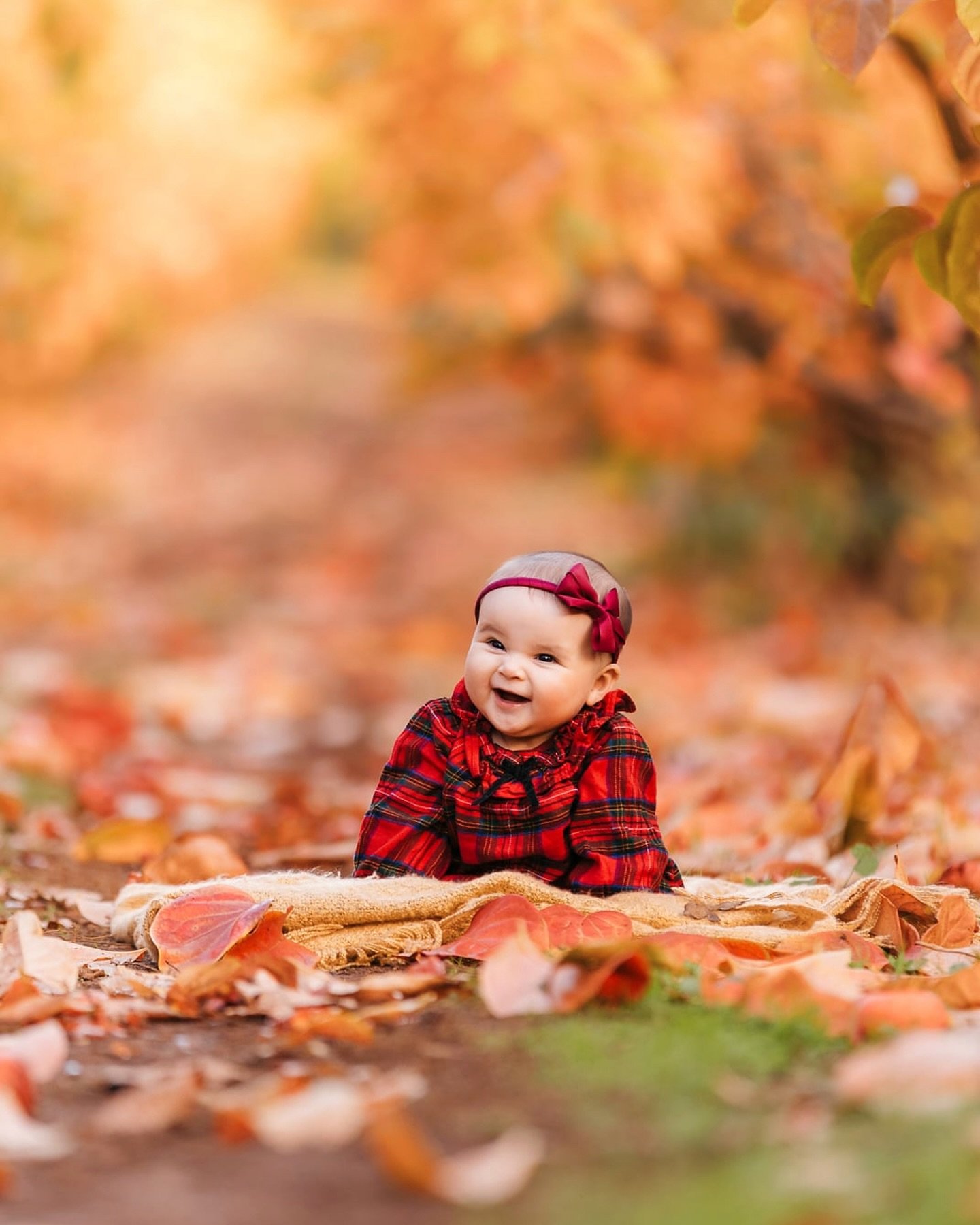 Matching the season&rsquo;s joy &amp; it finally feeling like Autumn with this cutiepie 🥰 🍁🍂 @willowspringsorchard 

cathybrittonphotography.com

#perthfamilyphotographer #willowspringsorchard #perthportraitphotographer #perthchildrensphotographer