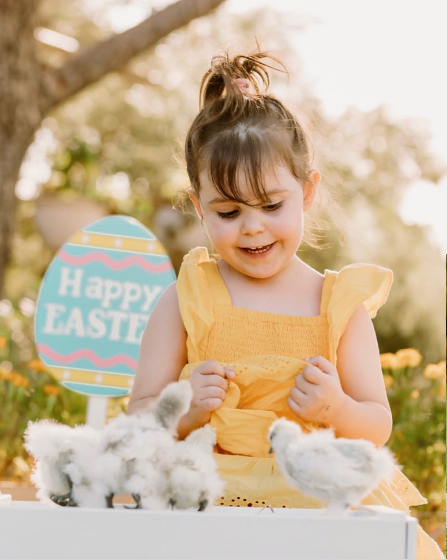 Happy Easter everyone 🐣

Thanks to my gorgeous families who came along to our Easter chicken minis. This day wouldn&rsquo;t have been possible without my friends at the farm @crystallkane @stevegrimson @_chloegrimson who bought our chicks then hand 