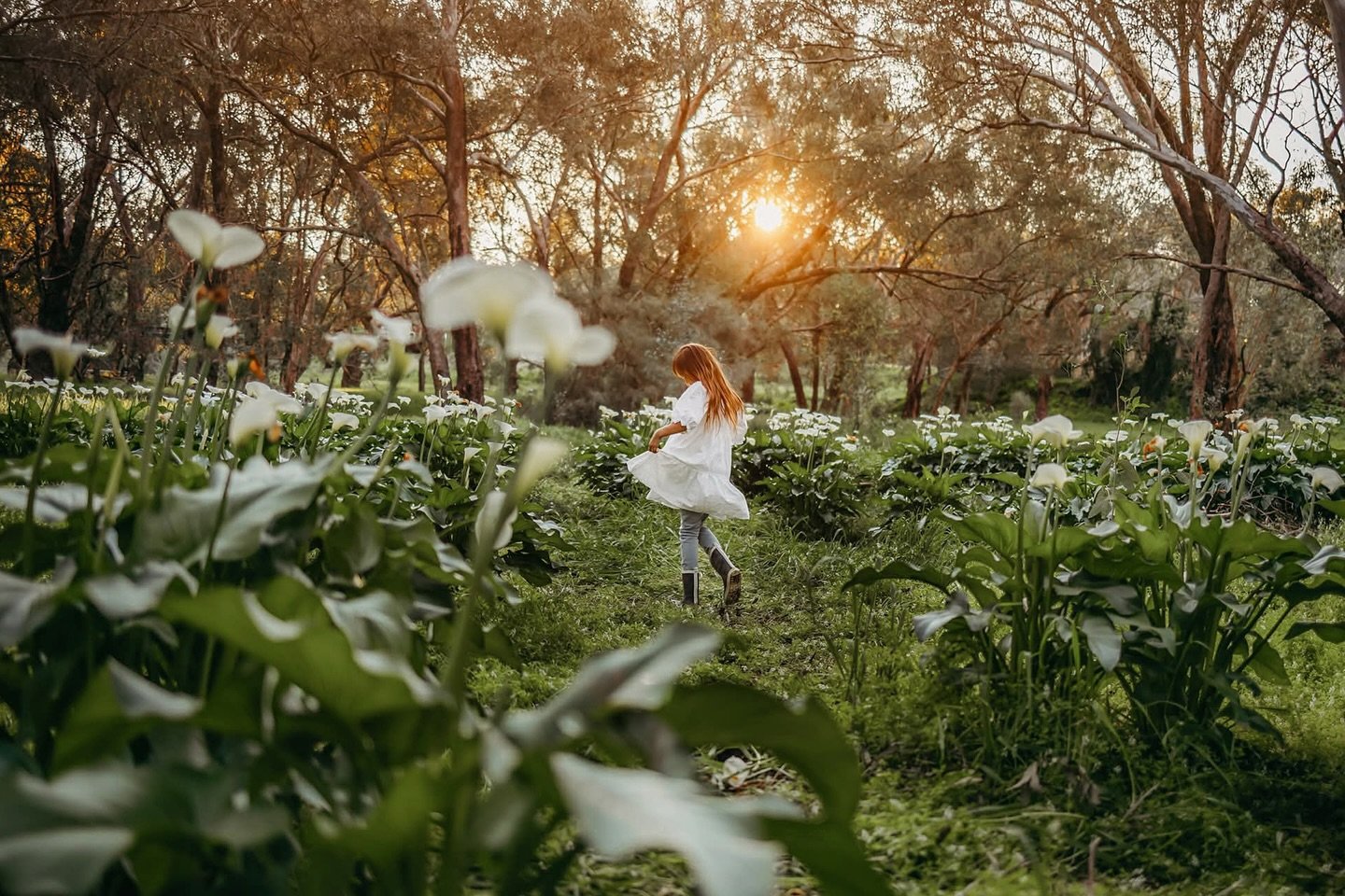 Dancing among the arum lillies 🤍🍃 

I seem to be having email reply issues. If you&rsquo;ve recently sent me an enquiry email via my website please check your junk mail

cathybrittonphotography.com

🍃
🤍
🍃
🤍

#perthfamilyphotographer #perthportr