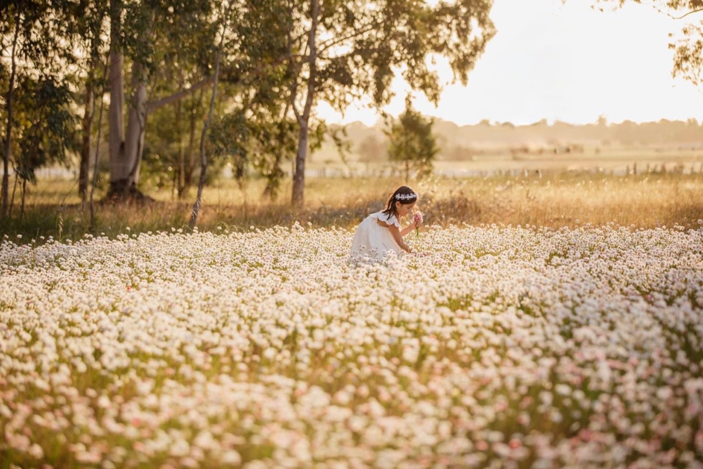 My everlasting loves 🌼

Currently we have chickens in this space rummaging and putting back into the earth, day by day working their way around the flower paddock. It&rsquo;ll have a fresh plough in a few months and I&rsquo;ll be getting to work see