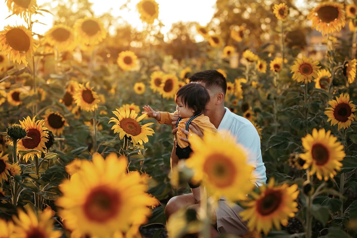 🌻 S U N F L O W E R  P H O T O S 🌻

It&rsquo;s been three years since I could offer Sunflower photos to my clients so I&rsquo;m thrilled to release these sweet sessions at my sunflower patch, 15 minutes from the city in Bassendean.

These 25 minute