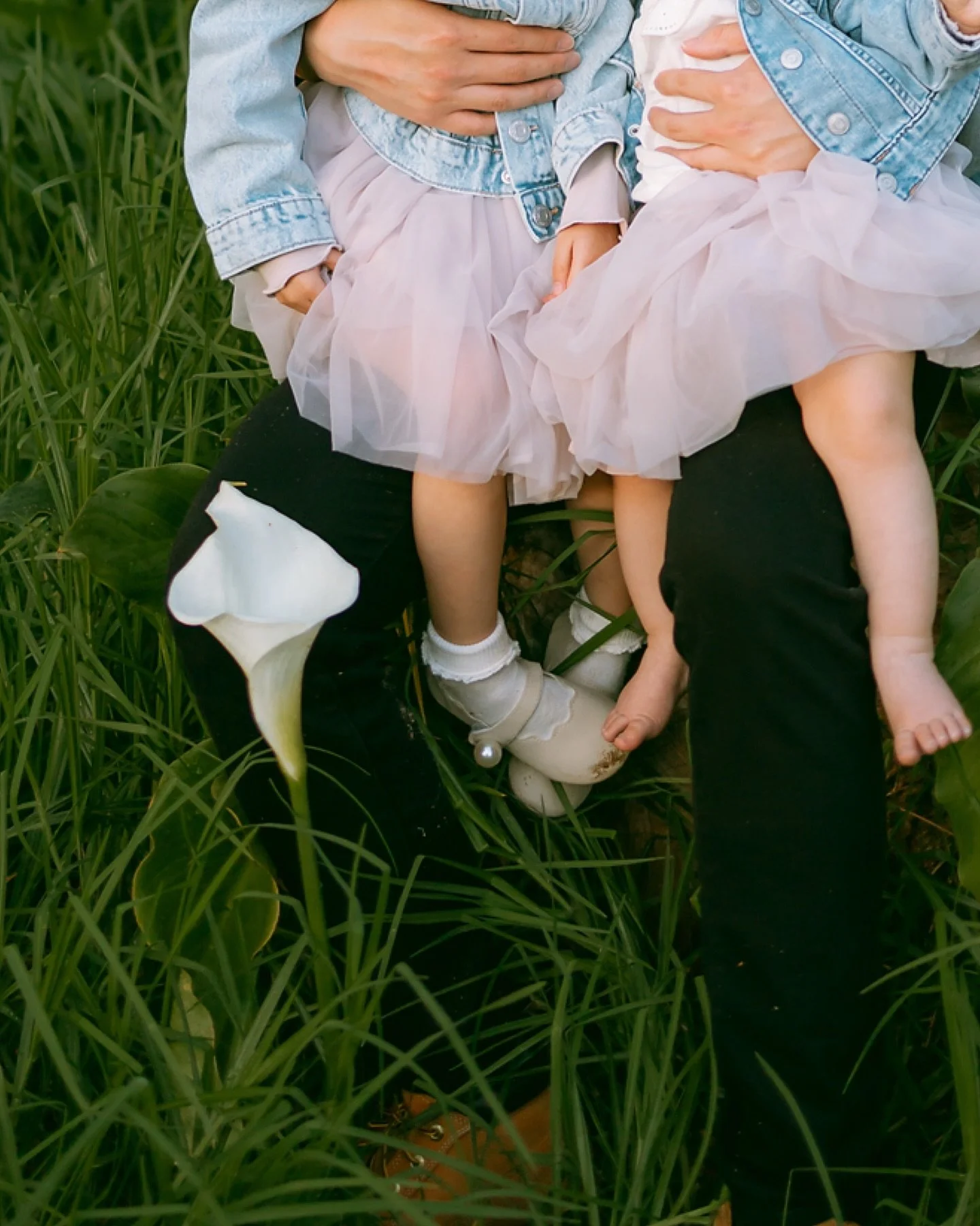 &lsquo;Tis the season 🪷

And the time to book if you need a weekend date before the end of this year with me as they are almost fully booked. Just a few in September. December is reserved for extended family reunions. My cut off date for Christmas p