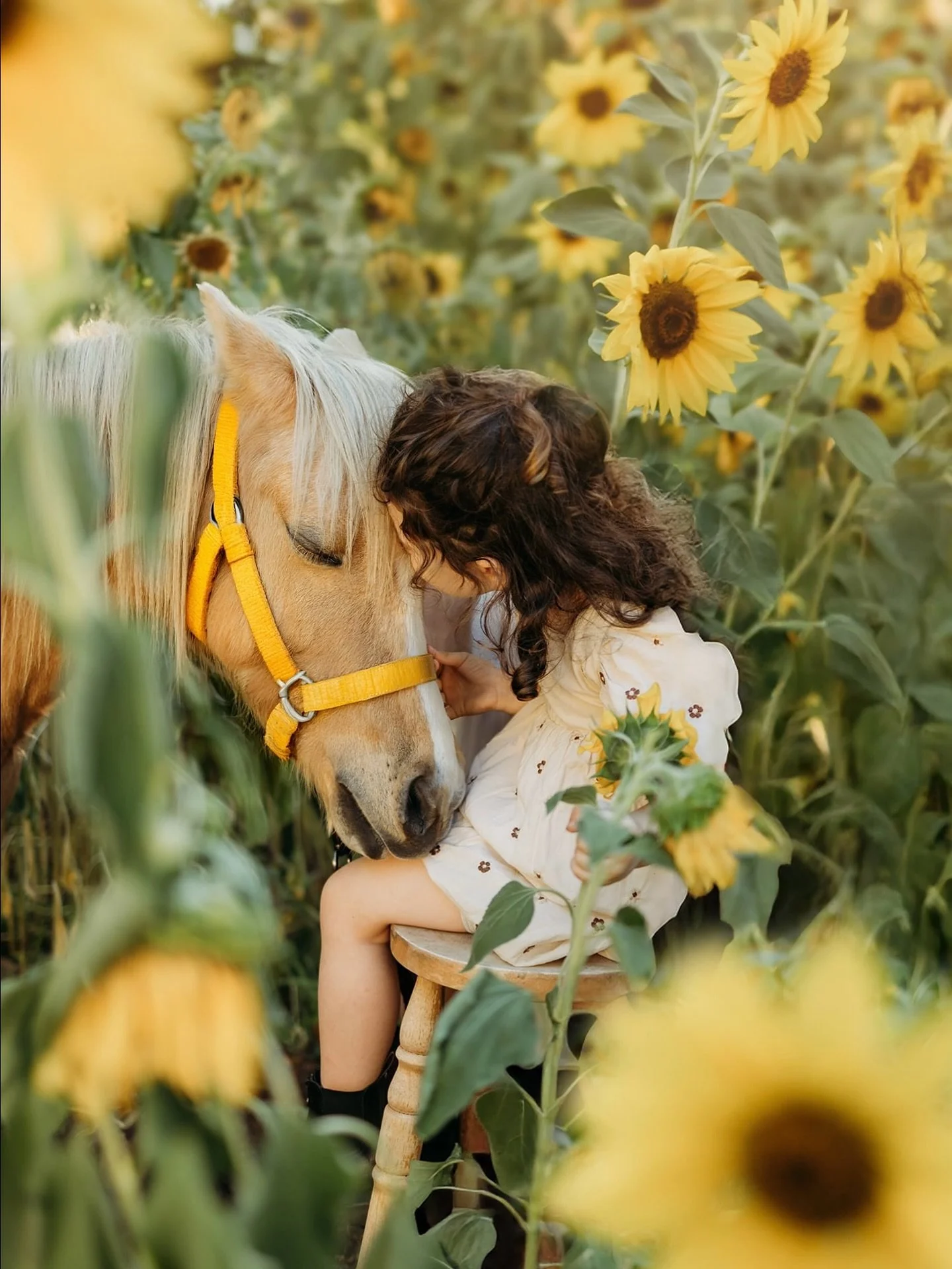 Malia and her beautiful pony Dreamy 🌻 what a dream this was..

🌻 cathybrittonphotography.com

#perthchildrensphotographer #perthfamilyphotographer #perthphotogtapher #sunflowersperth