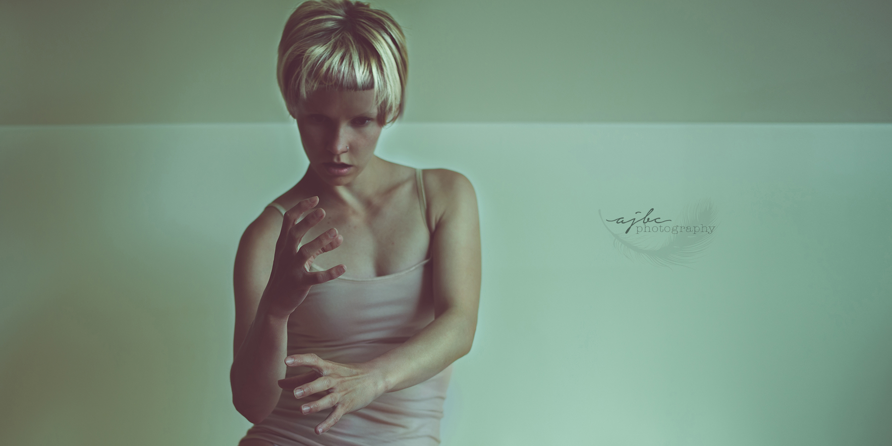 Sia Chandelier Art Port Huron Photographer studio.png