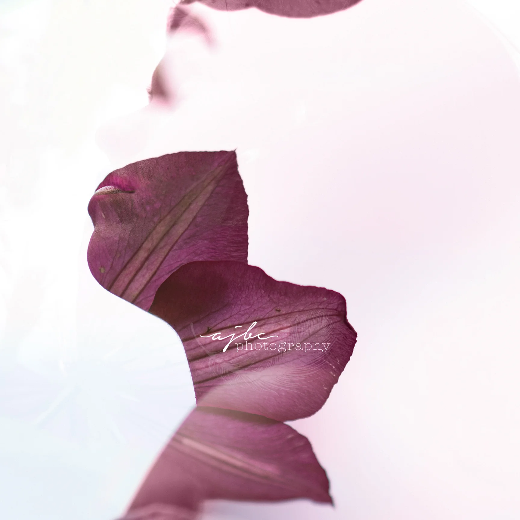 Double Exposure In Camera Art with Port Huron, MI Photographer - AJBC Photography