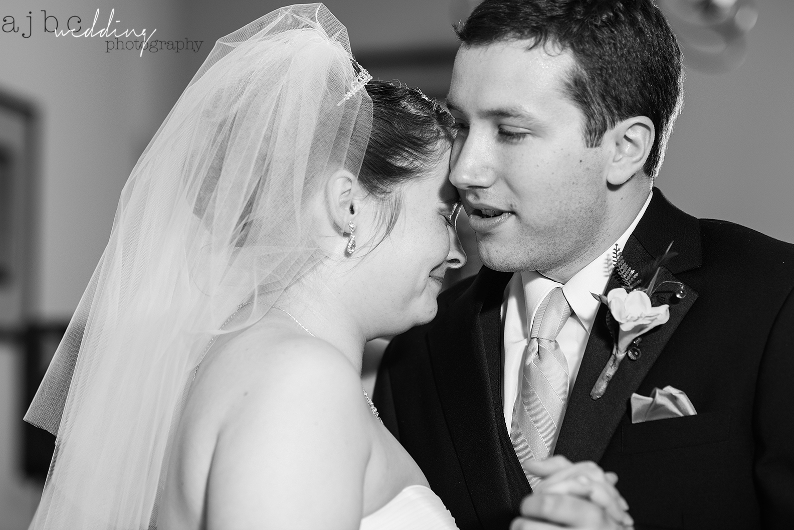 Fairytale Wedding by Port Huron, MI Wedding Photographer ajbc ...