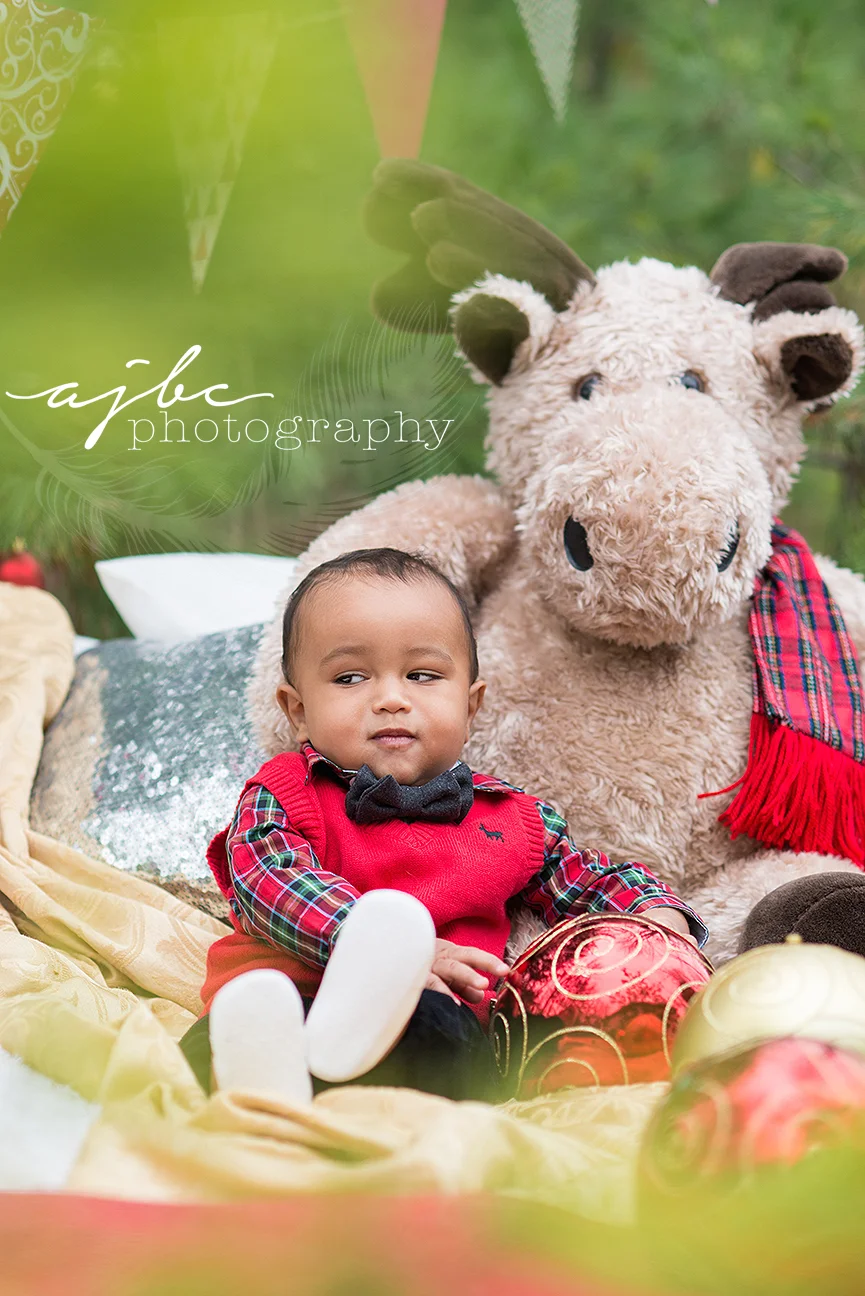 london-ontario-photographer-christmas-minis.jpg