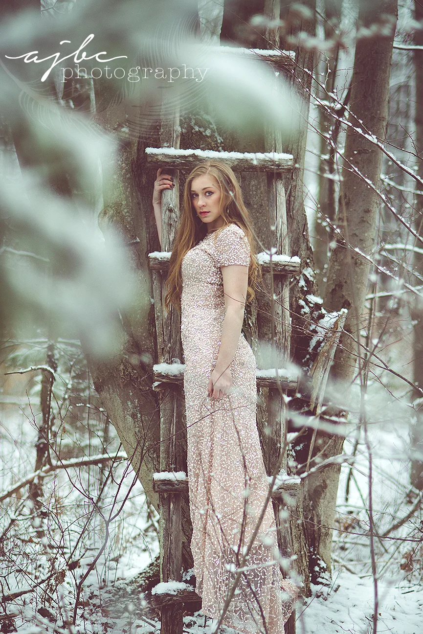 port huron michigan winter senior girl photographer .jpg