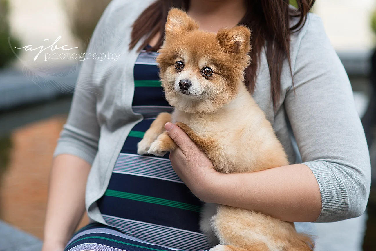 family and dog photoshoot.jpg