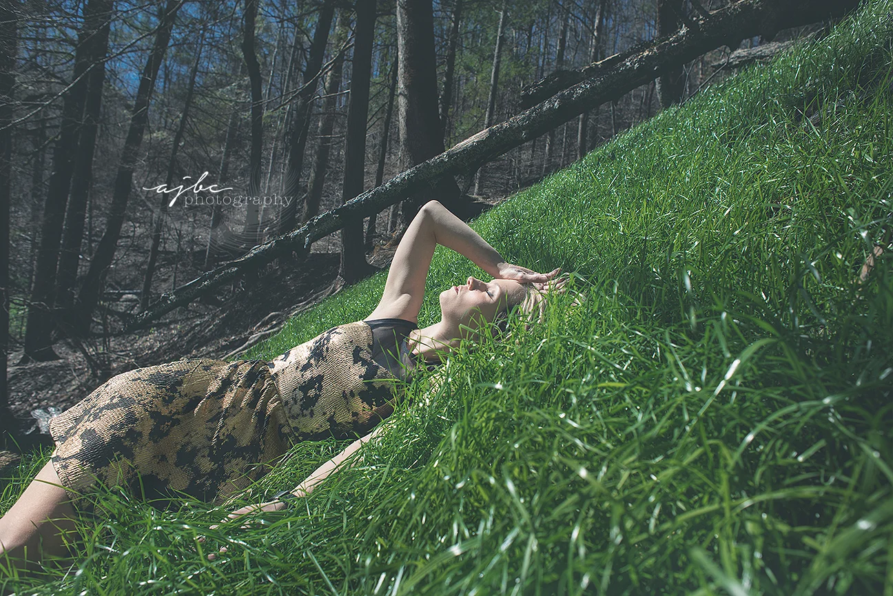 gatlinburg tennessee photographer.jpg