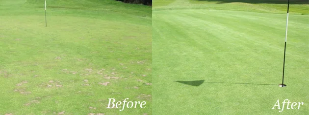 Pryor Hayes Golf Club improvement