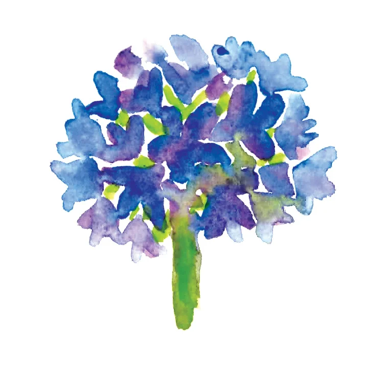 KRagapanthus.jpg