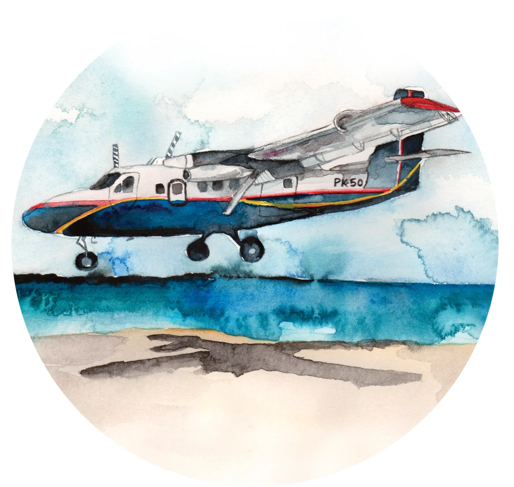KRbarthsplane.jpg