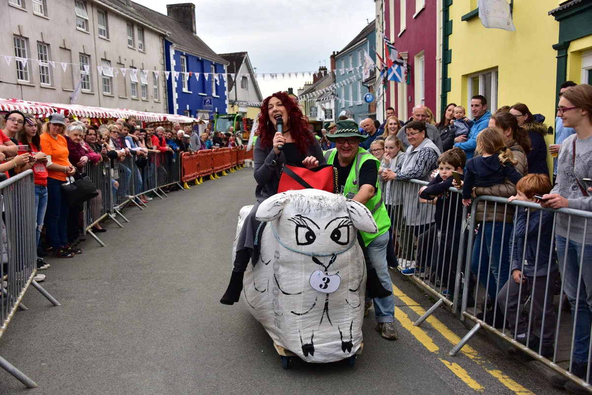 llandovery_sheep_festival.jpg