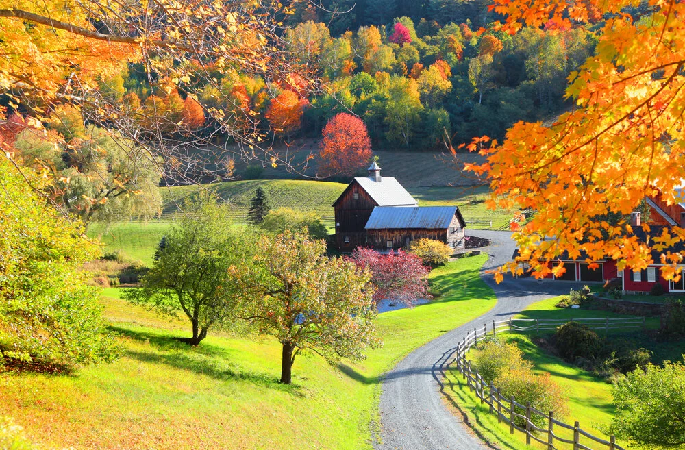 Barn.jpg