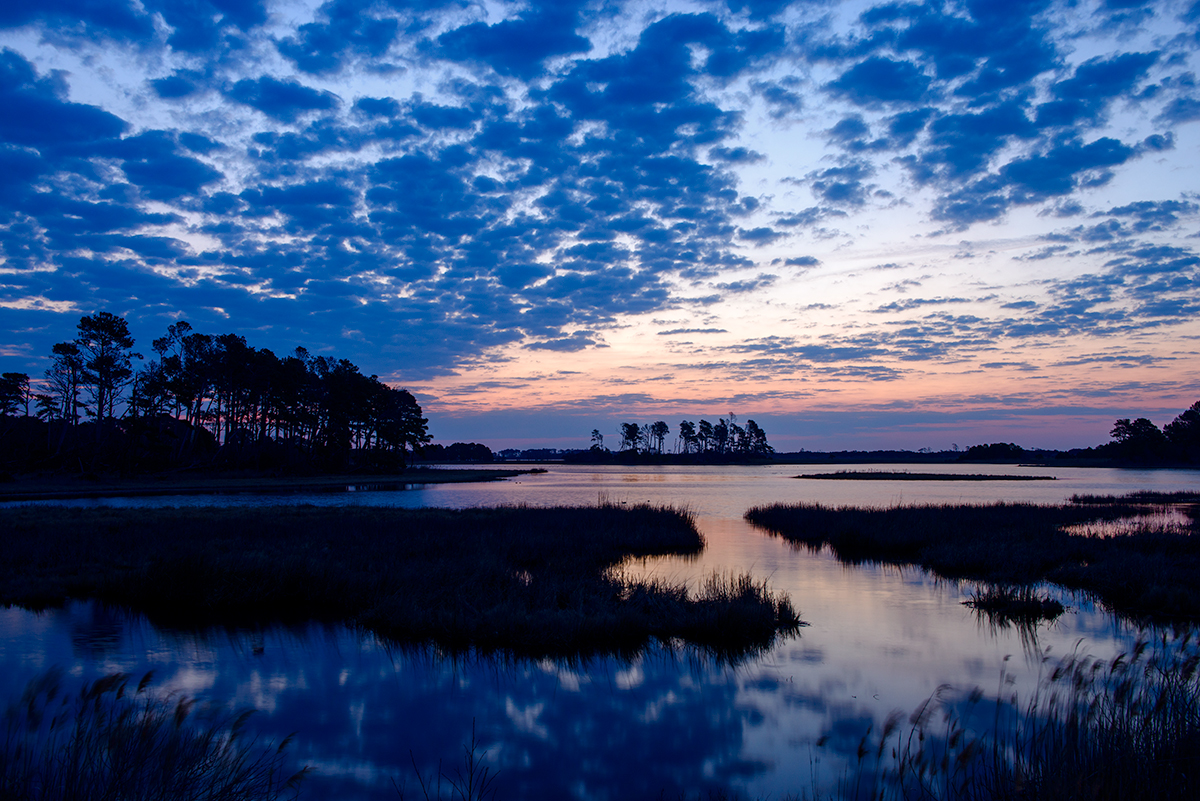 An beautiful sunrise over the marsh. I was drawn to the curves in the marsh and the reflected color from the sky. I was happy to capture this image, but I wanted to tell a story beyond the standard scenic.