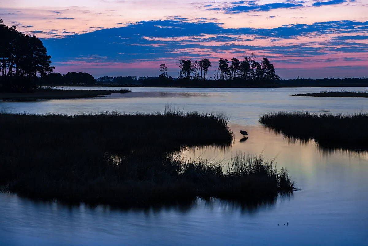 This image represents a deeper concept. Instead of simply capturing a sunrise, I included this Great Blue Heron and zoomed in capturing an image that tells a story of life on the marsh. 