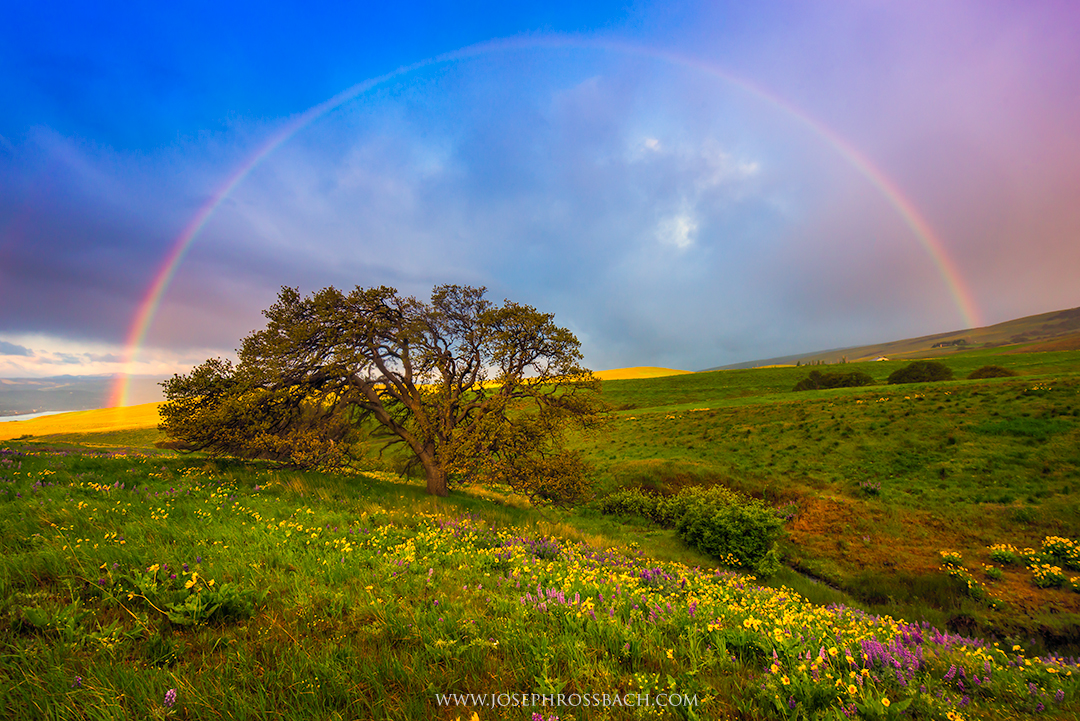 Chasing Rainbows, Dalles Mountain, Oregon