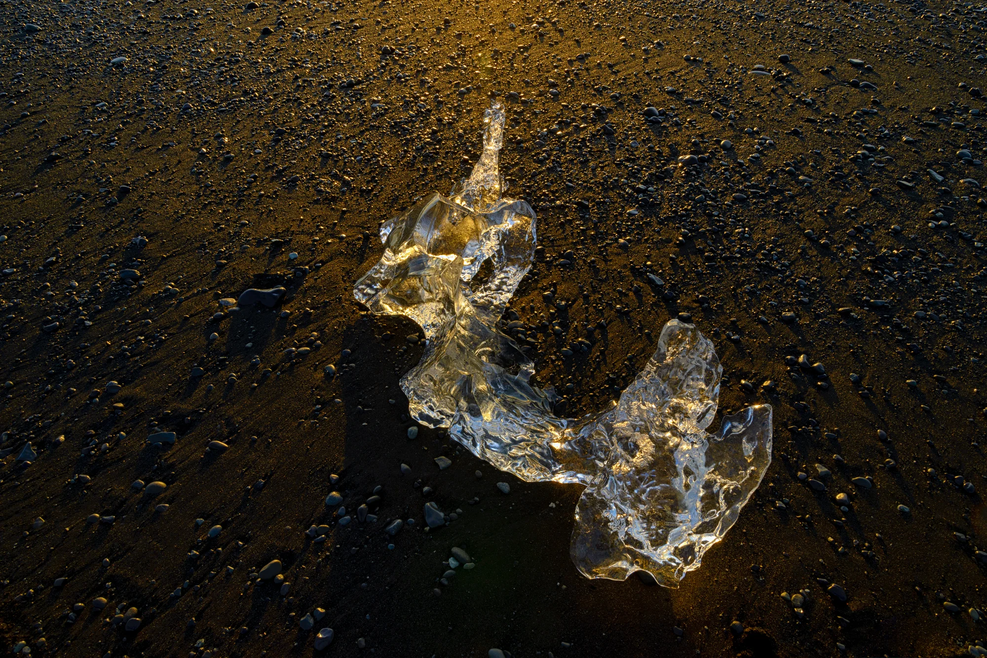 Stranded, Jokulsarlon Black Sand Beach, Iceland