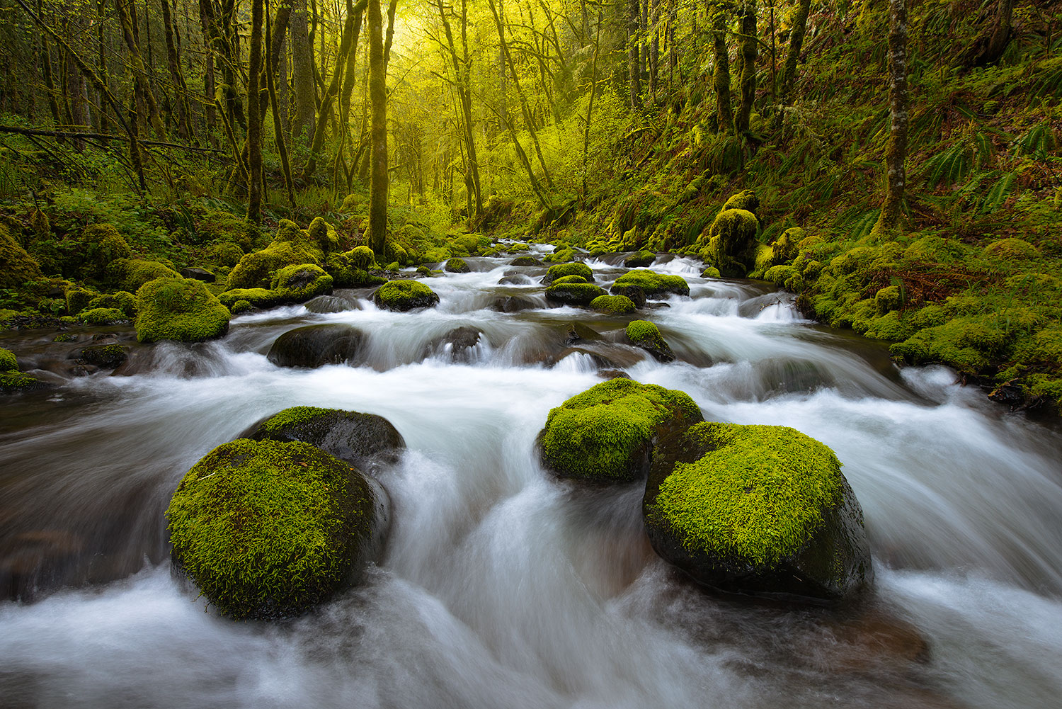 Gorton Creek, Columbia River Gorge