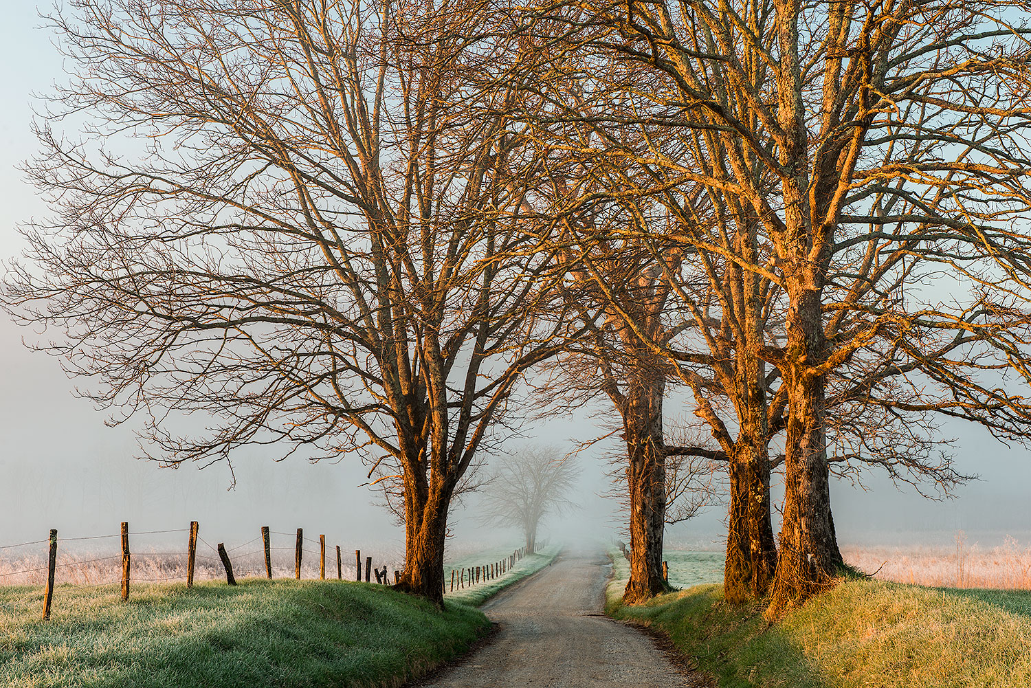 Hyatt Lane, Cades Cove, GSMNP