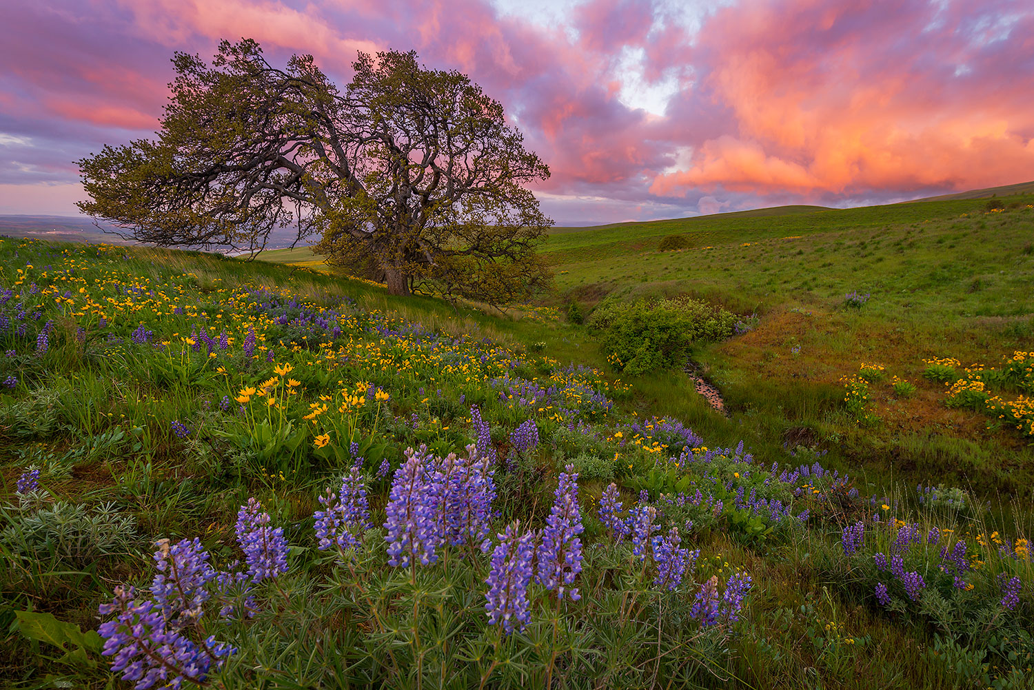 Columbia Hills, Oregon