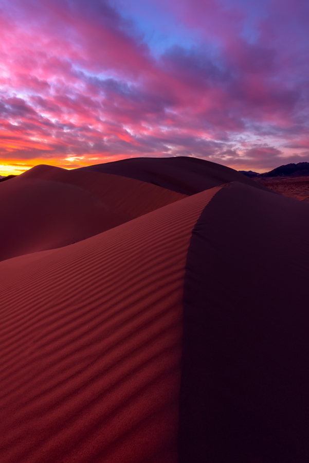 Ibex Dunes at sunset, Death Valley National Park, CA