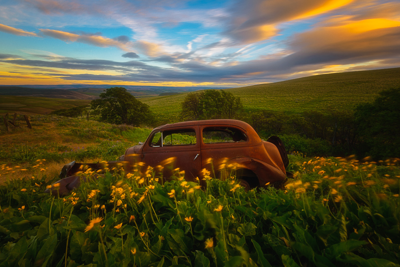 Out to Pasture, Dalles Mountain Ranch, Oregon
