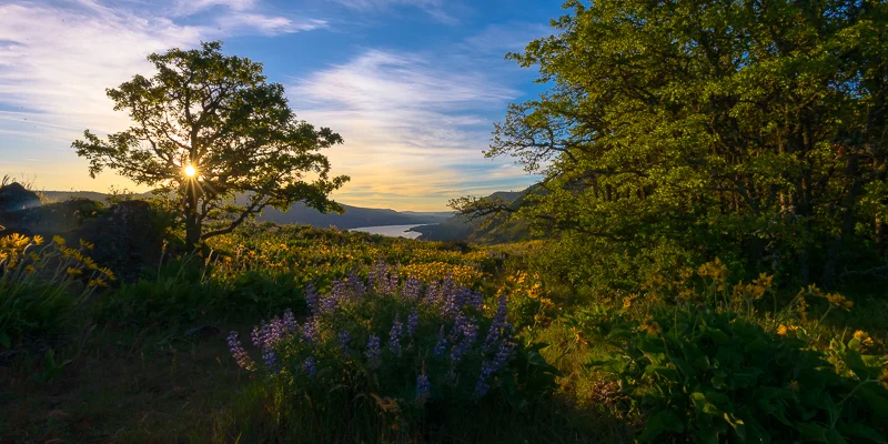 Sunrise over Rowena Crest, Columbia River, Oregon