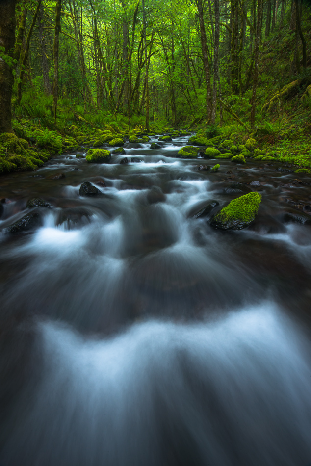 Rush, Rush, Gorton Creek, Columbia River Gorge, Oregon
