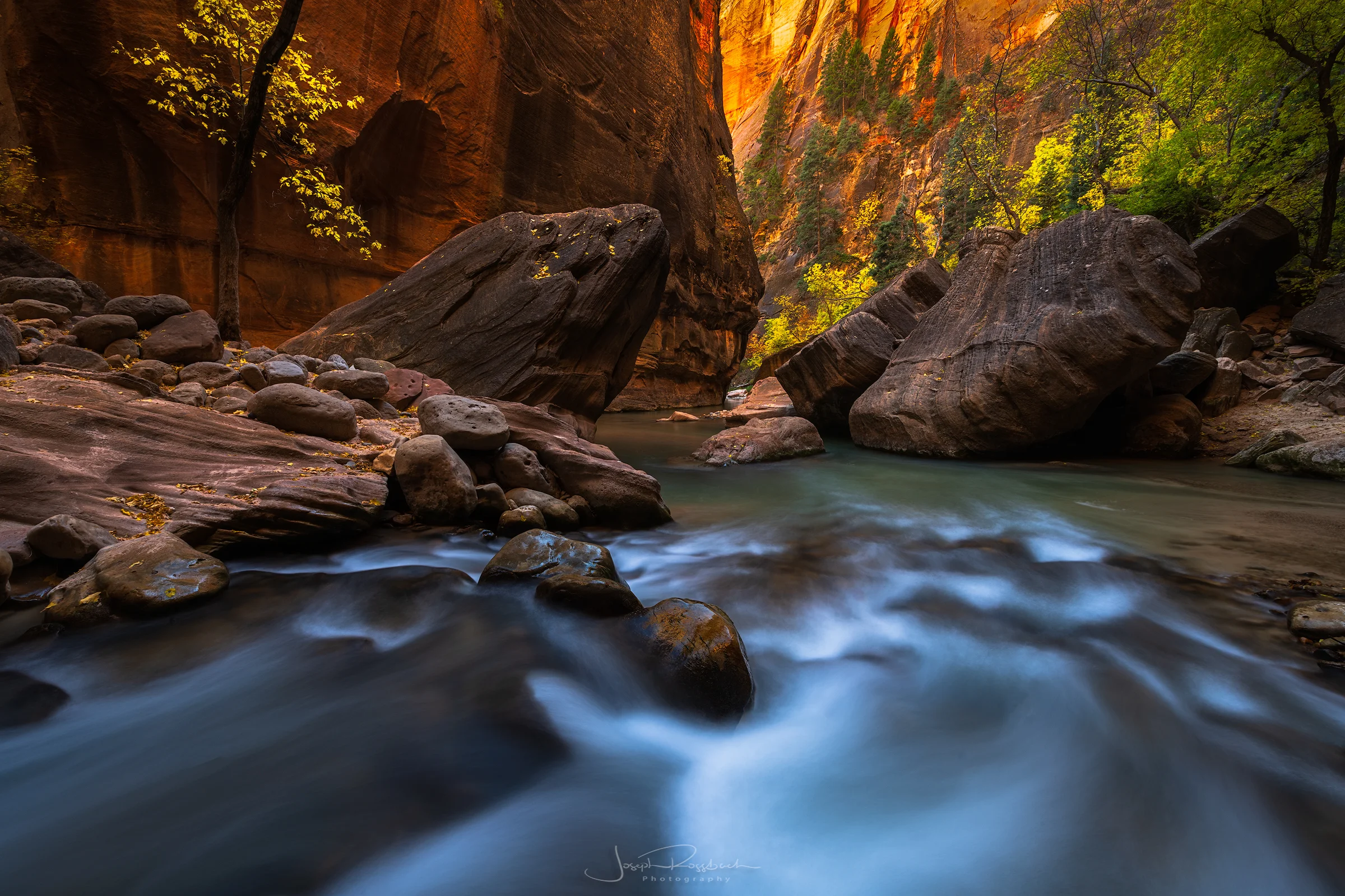_DSC7247-Edit-copy.jpg