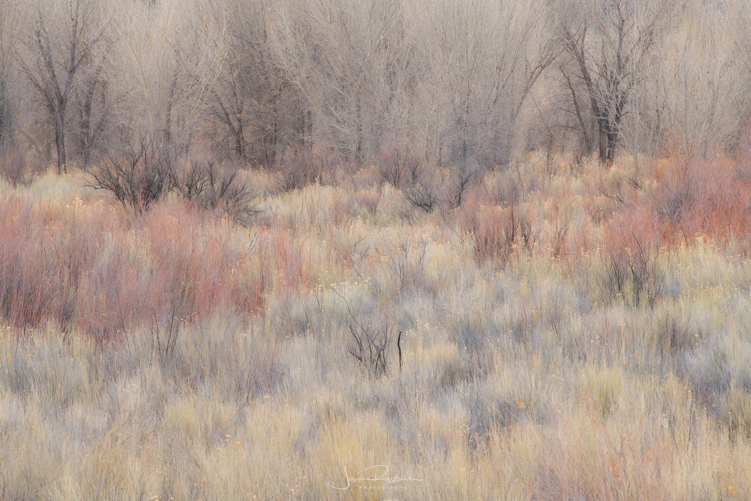 Down by the Fremont, Blue Mesa, Utah