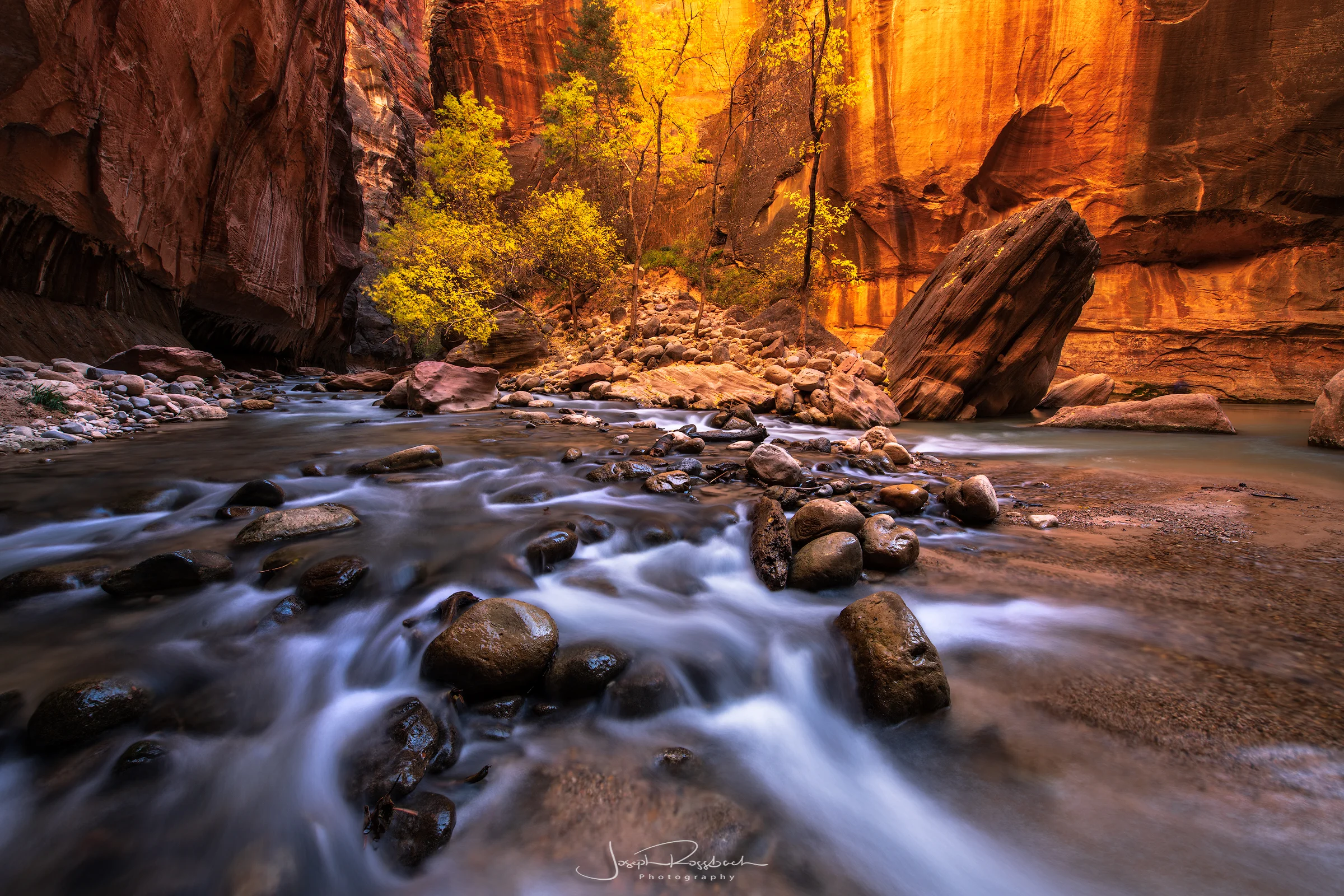 _DSC7231-Edit-copy.jpg