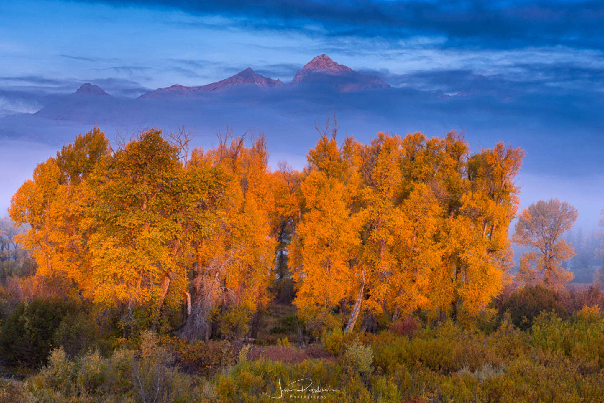 _DSC3769-Edit.jpg