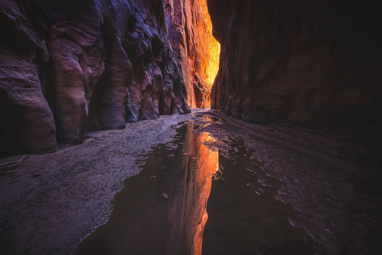 © Peter Coskun