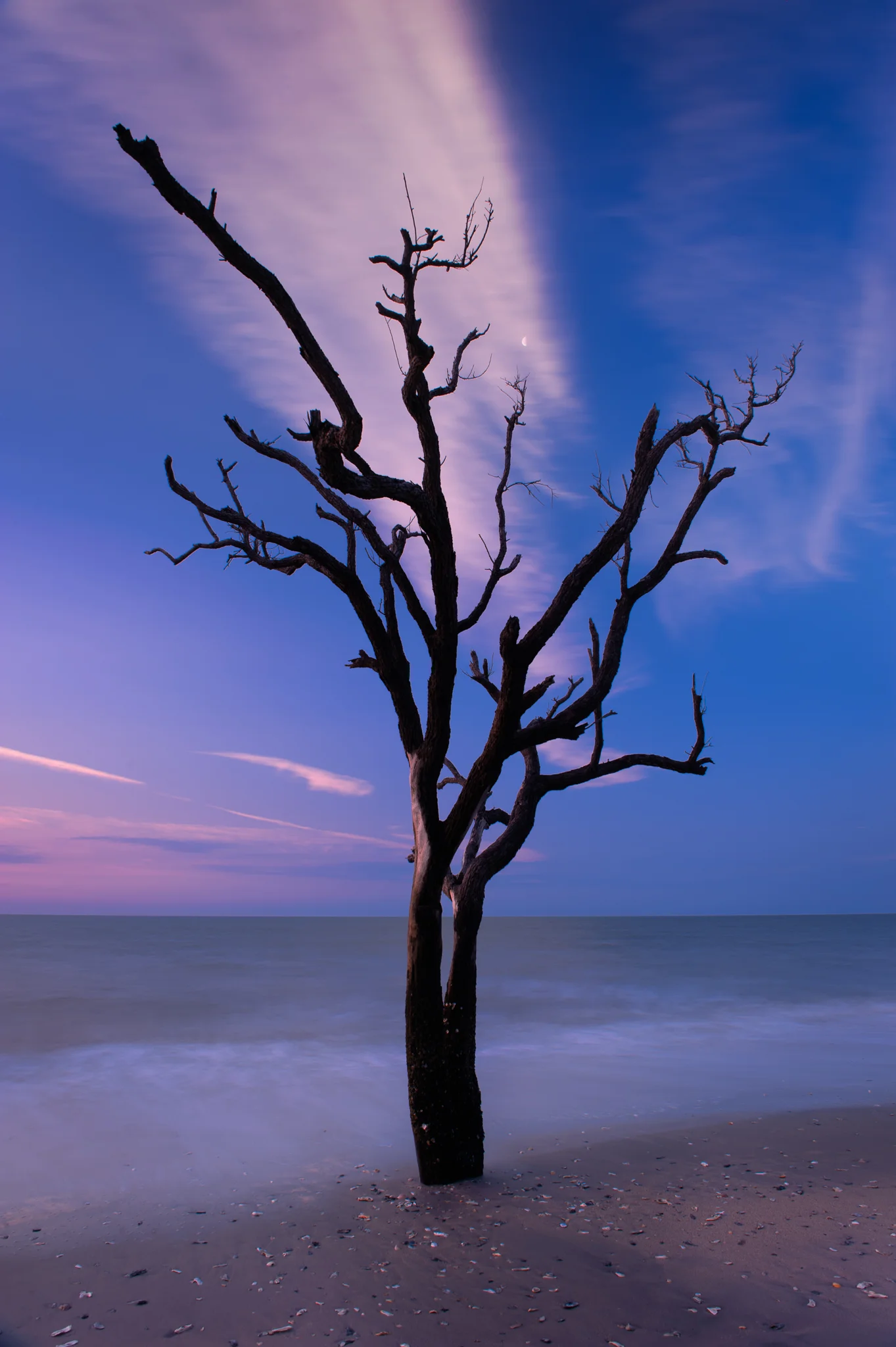 tokina-24-70-joseph-rossbach-2.jpg