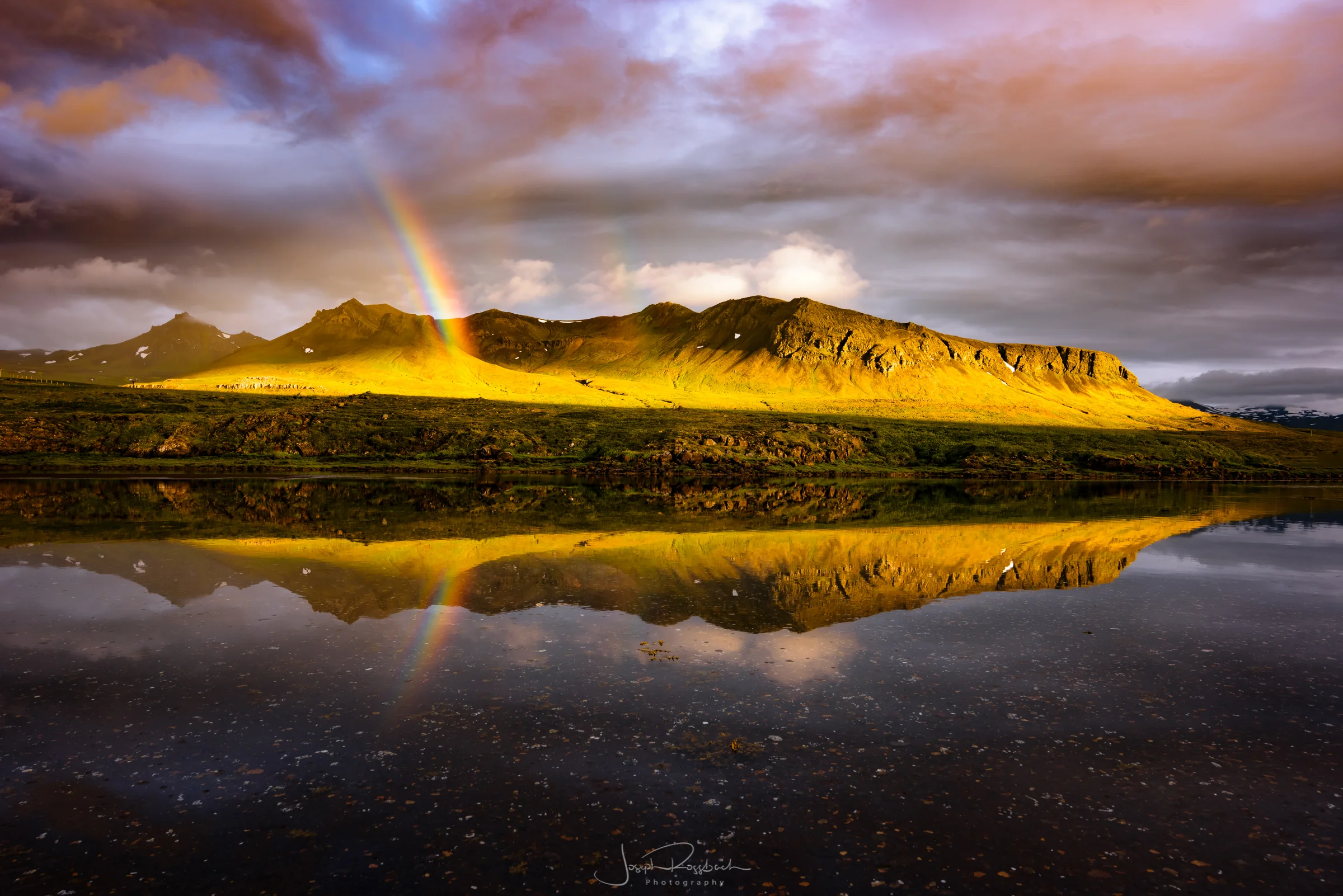 DSC_8298-Edit.jpg
