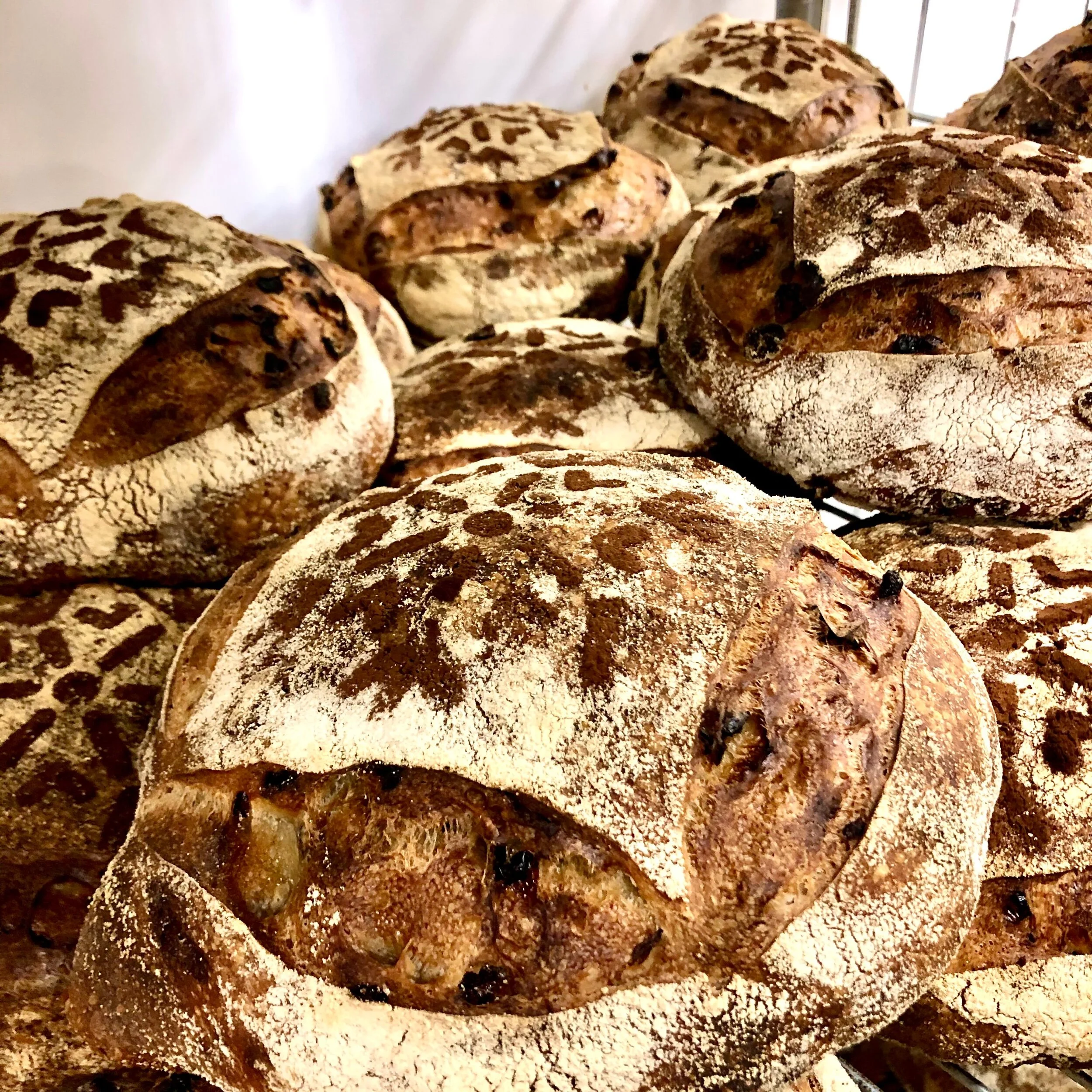 C54D5DDC-9464-4F7E-9EB6-6A76BFABAB2B