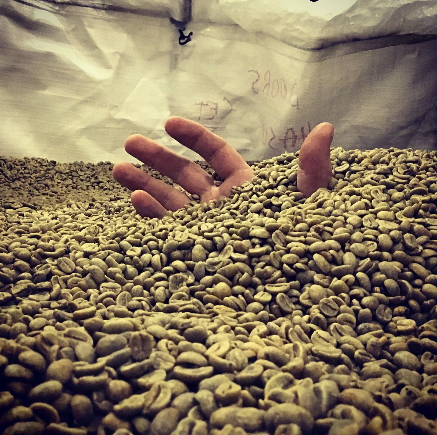 Zombies only crave brains because they haven&rsquo;t been given a great cup of coffee 🧟&zwj;♂️